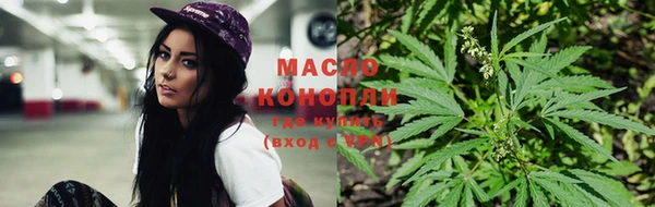 молекула духа Балахна