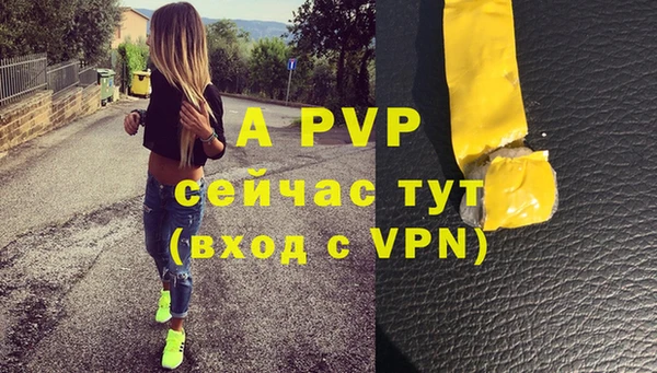 молекула духа Балахна