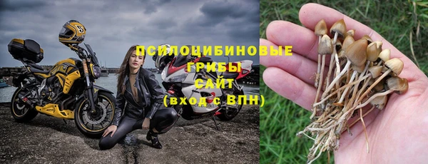 молекула духа Балахна